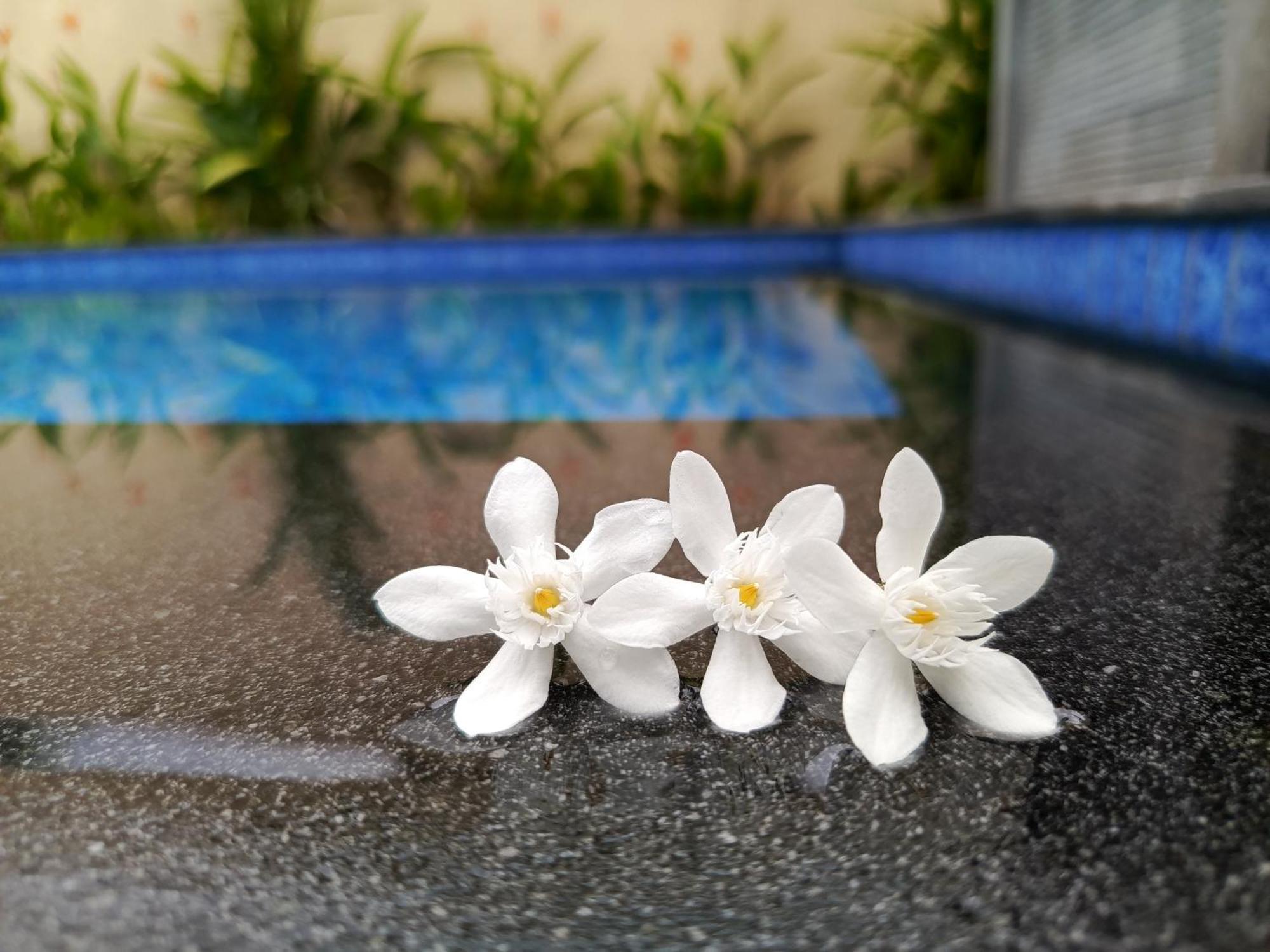 Zavana Rooms & Restaurant Tanjungkarang 外观 照片